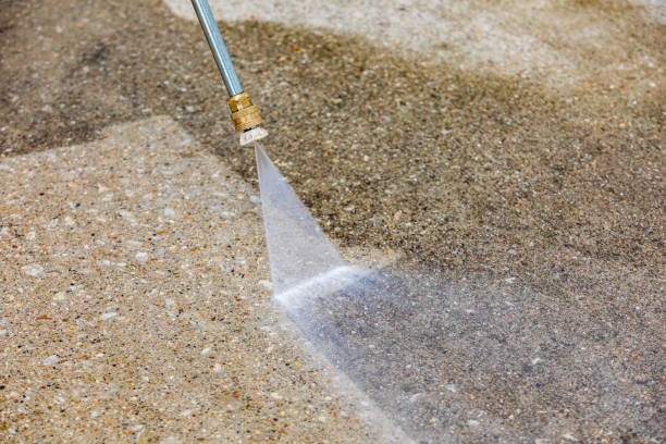 Animal Enclosure Cleaning in Coopertown, TN